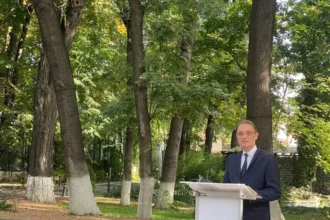 luca niculescu dupa negocierile cu psd se vorbeste mult despre linii rosii as vrea sa mai vorbim despre linii verzi guvern politic sau tehnocrat 6ac7604ebce22