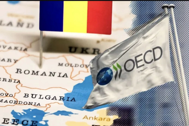 luca niculescu sustine ca aderarea romaniei la ocde depinde de un mic detaliu daca vom avea guvern va fi mai simplu 6ac924a90587a
