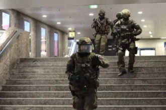 mobilizare in germania o puma care ar fi fost observata in apropierea aeroportului din munchen cautata cu drone 6ac67ba6e6e02