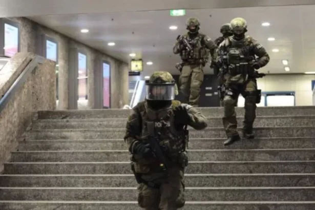 mobilizare in germania o puma care ar fi fost observata in apropierea aeroportului din munchen cautata cu drone 6ac67ba6e6e02