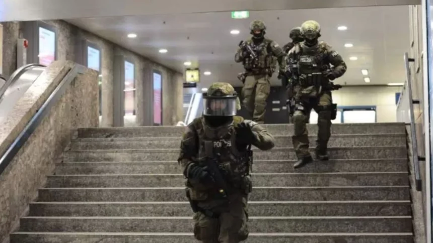 mobilizare in germania o puma care ar fi fost observata in apropierea aeroportului din munchen cautata cu drone 6ac67ba6e6e02