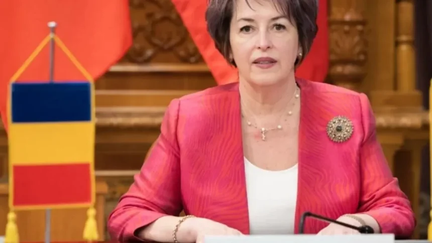 niculina stelea senator aur iesirea romaniei din criza nu are cum sa se faca printr o cosmetizare a guvernarii asa cum spera nicusor dan si partidele vechi 6ac356da9e58a