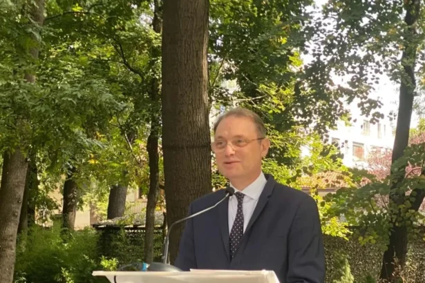 rezumatul primei runde de consultari intre premierul desemnat si psd pnl si udmr sanse reale pentru cabinetul luca niculescu sa fie votat 6ac7c51d6f4eb