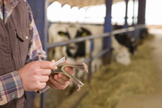 romania castiga teren la bruxelles reusita pentru agricultura romaneasca ajutoarele pentru fermieri pe agenda pac si dupa 2027 6ae107c18eabb