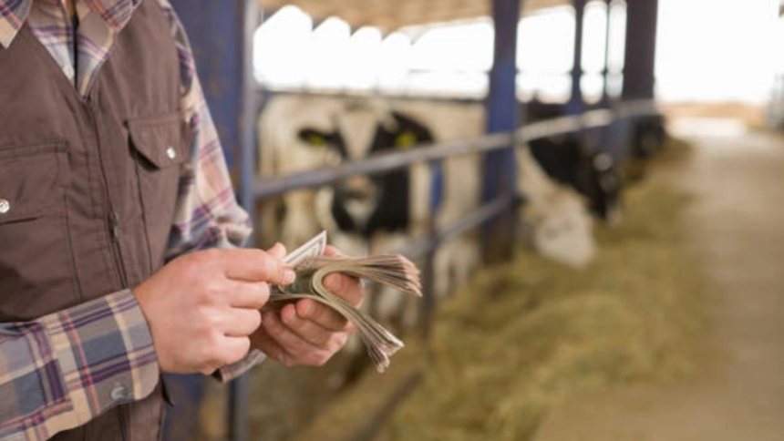 romania castiga teren la bruxelles reusita pentru agricultura romaneasca ajutoarele pentru fermieri pe agenda pac si dupa 2027 6ae107c18eabb