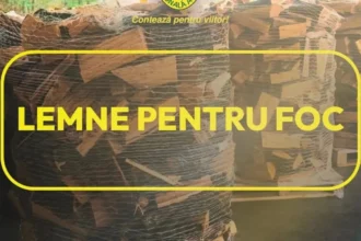 romsilva pune la dispozitia populatiei aproximativ 2 milioane de metri cubi de lemn pentru foc in 2026 la preturi similare celor de anul trecut 6acf3b8863c9a