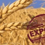 rusia va folosi o ruta din al doilea razboi mondial pentru a si exporta graul 6ae220f0f1b09