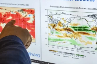 specialistii au calculat iar el nino ne va strica craciunul atinge apogeul si va fi cel mai intens episod din istorie 6ac72ef1bbd3d