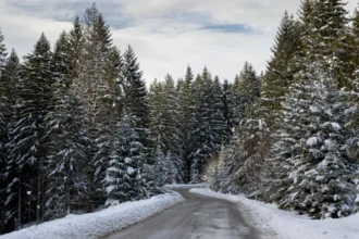 video a venit iarna in romania ninge ca n povesti si s a inchis transfagarasanul 6ae0dd92687b8