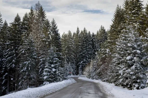 video a venit iarna in romania ninge ca n povesti si s a inchis transfagarasanul 6ae0dd92687b8