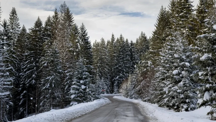 video a venit iarna in romania ninge ca n povesti si s a inchis transfagarasanul 6ae0dd92687b8