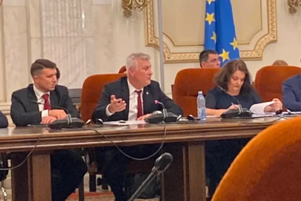 video audiere cu reprosuri daniel zamfir economie schimb de replici cu senatoarea pnl gabriela horga 6ad6195edab00