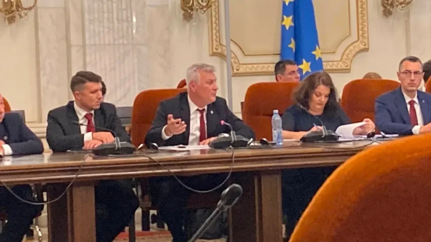 video audiere cu reprosuri daniel zamfir economie schimb de replici cu senatoarea pnl gabriela horga 6ad6195edab00