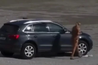 video bizoni cu masina pe plaja o femeie a intrat cu suv ul pe o plaja din cap aurora ce amenda a primit 6addd8232e5c7