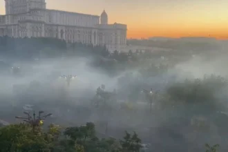 video zgomot fum si gaze de esapament la campionatul national de drift din bucuresti organizatorii amendati de garda de mediu 6ac5233b059d8
